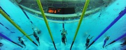 Paralympic swimming