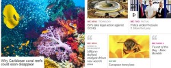 BBC online news homepage