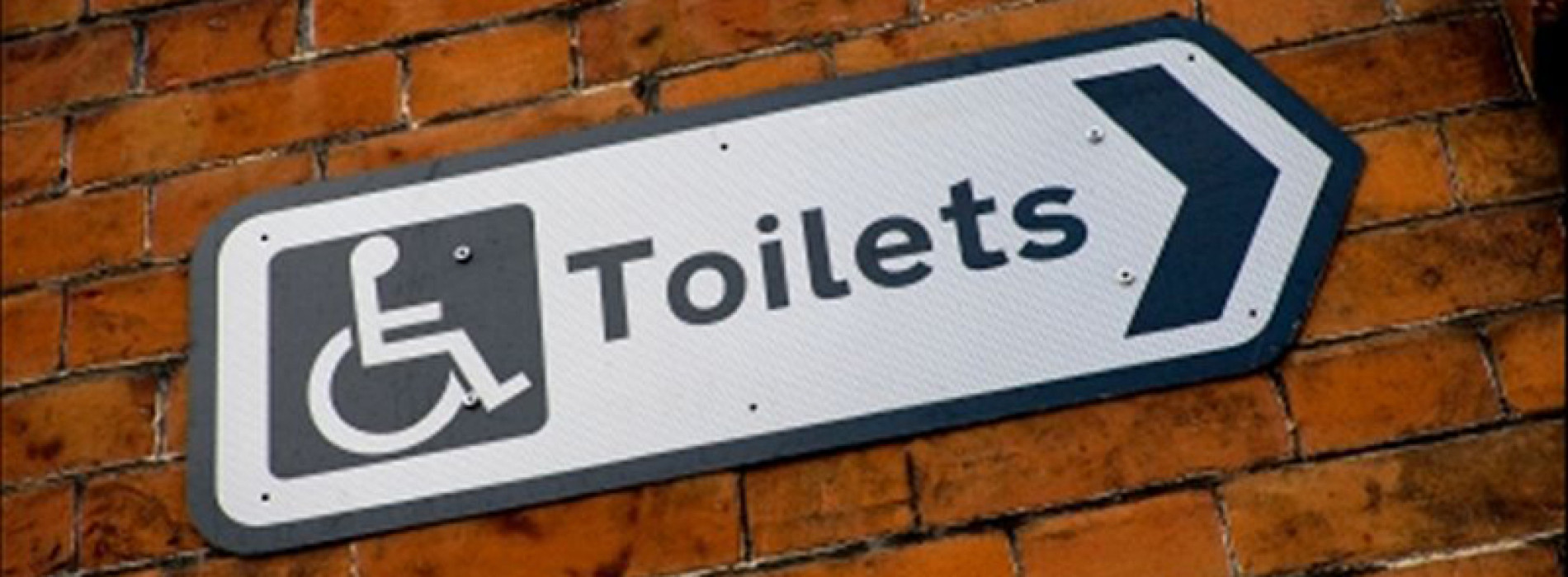 Toilet Trouble: The Inaccessible Accessible Toilet! | Disability Horizons