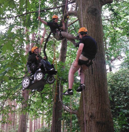 Martyn Sibley tree climbing in New Forest