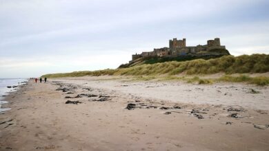 Northumberland beach with a castle in the background