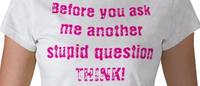 Stupid questions T-Shirt from Zazzle