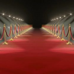 Disabled contestants - red carpet
