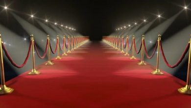 Disabled contestants - red carpet