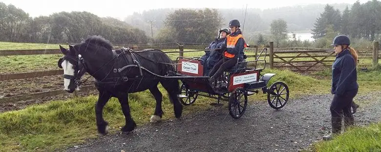 martyn-sibley-on-horse-and-carriage-ride-with-calvert-trust