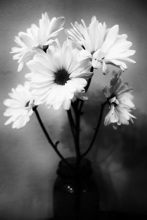 Black and white flowers by blind photographer