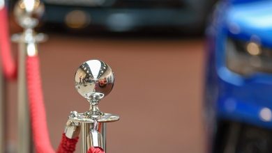 Red carpet with roped off area for celebrities