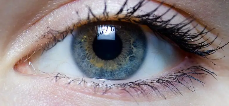 A closeup of a woman's eye