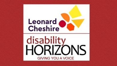 Disability Horizons survey