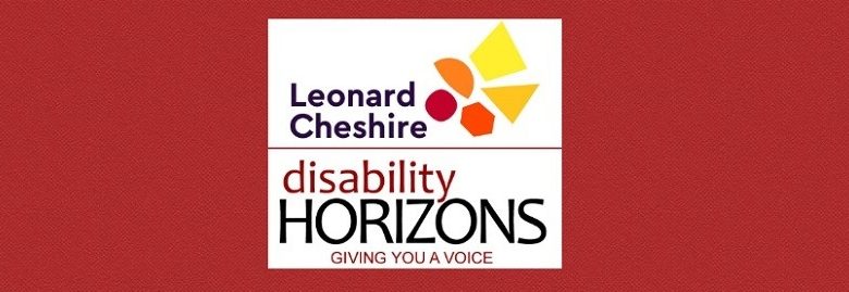 Disability Horizons survey