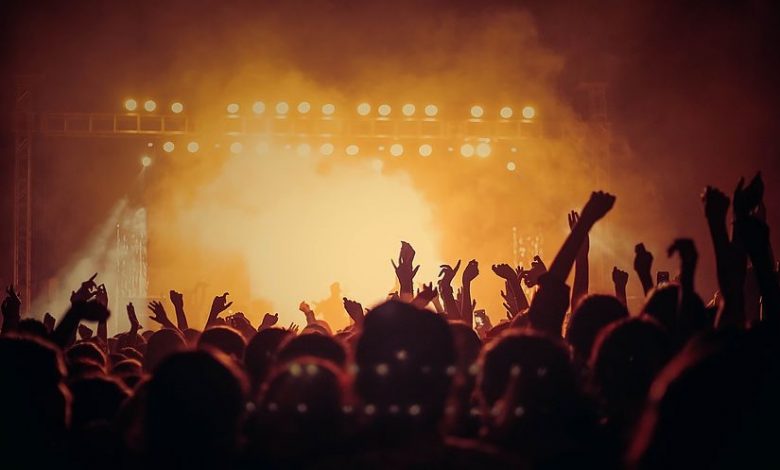 Fans in silhouette at a live music show