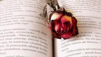 Open book with rose laying on top