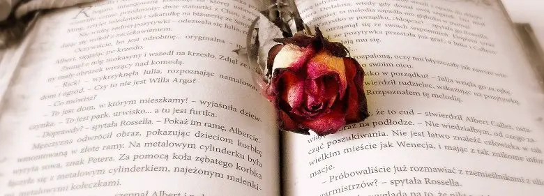 Open book with rose laying on top