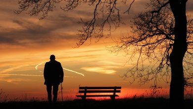 Silhouette of a man using a stick in a field next to a tree watching a sunset