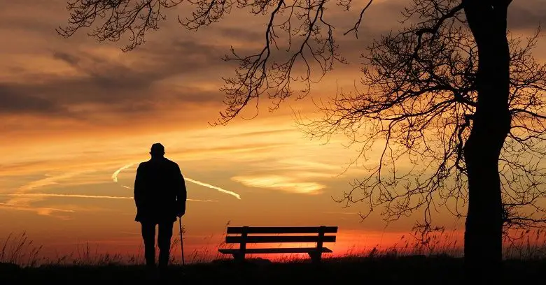 Silhouette of a man using a stick in a field next to a tree watching a sunset