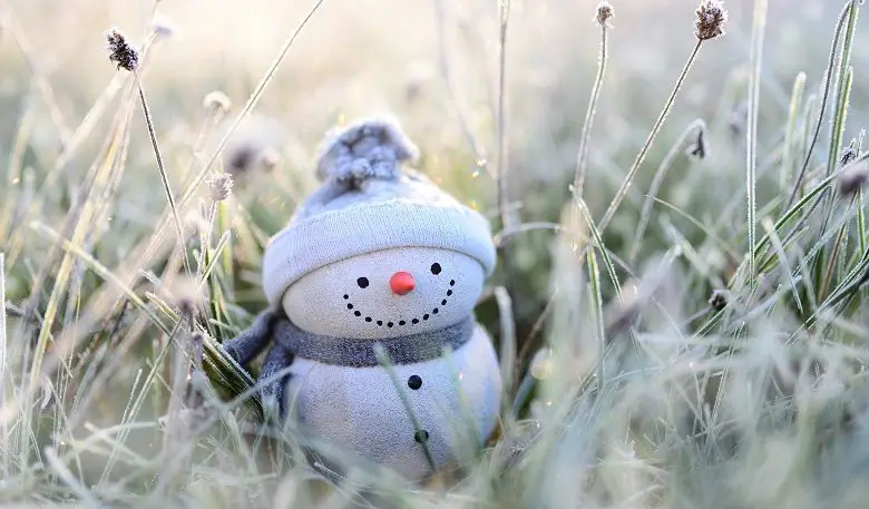 Snowman in grasses with frost on them