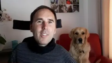 Martyn Sibley with his dog Sunny on a chair behind him