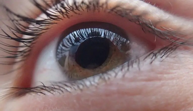 Close up of a woman's eye