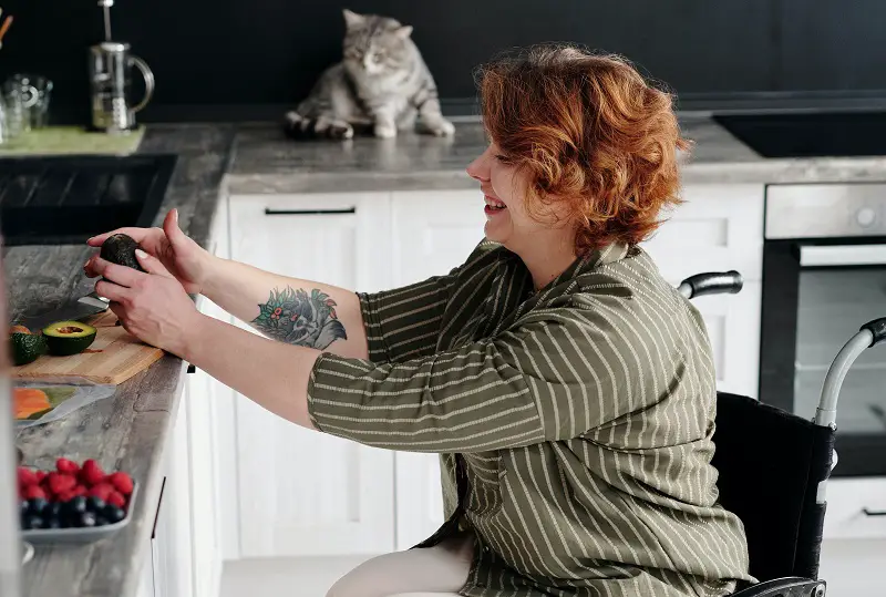 https://disabilityhorizons.com/wp-content/uploads/2020/06/Woman-in-a-wheelchair-preparing-food-on-the-worktop-in-a-kitchen.jpg