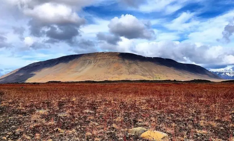 Image taken by blind photographer Roesie Percy of a moutain in Iceland with red and brown grasses