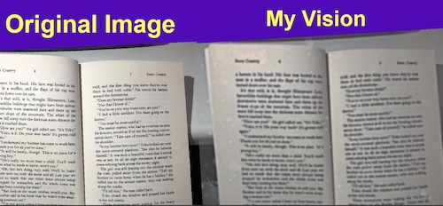 Two books showing text, one clear and the other very blurry