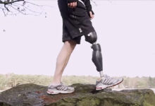 Bionic Legs and Feet Standing on a rock