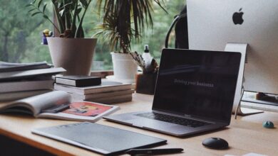 Laptop on desk in a home office with plants in the background and trees outside the window