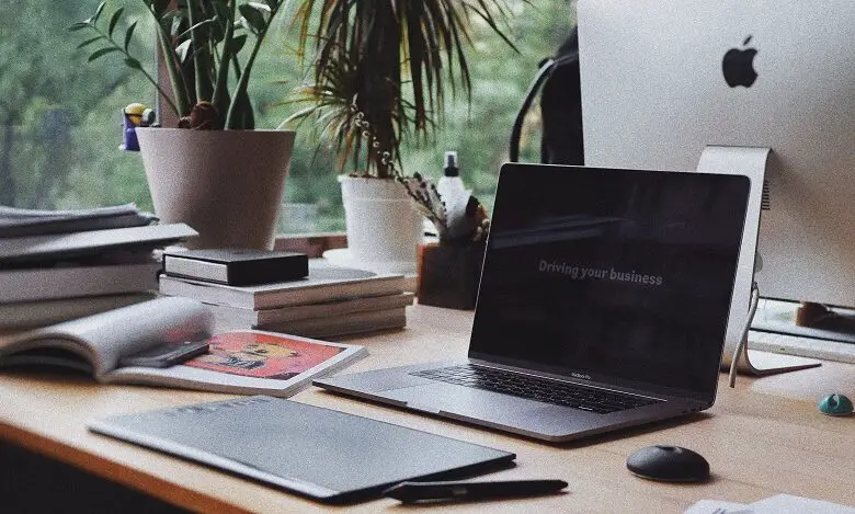 Laptop on desk in a home office with plants in the background and trees outside the window