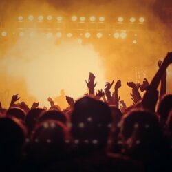 A crowd of people seen from behind at a concert