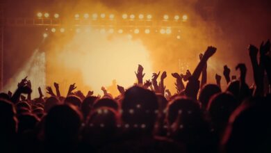A crowd of people seen from behind at a concert