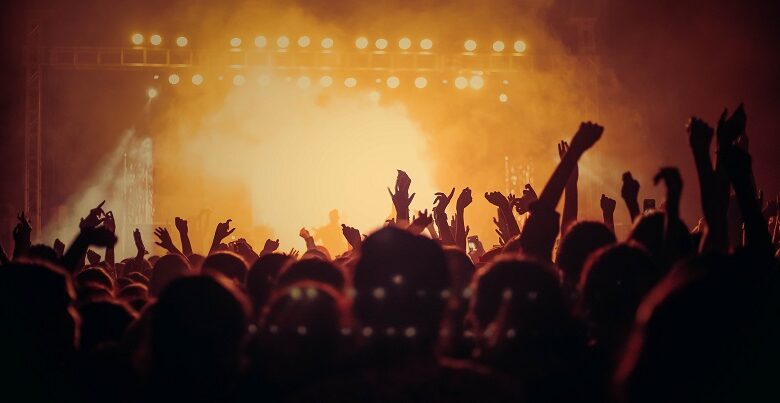 A crowd of people seen from behind at a concert