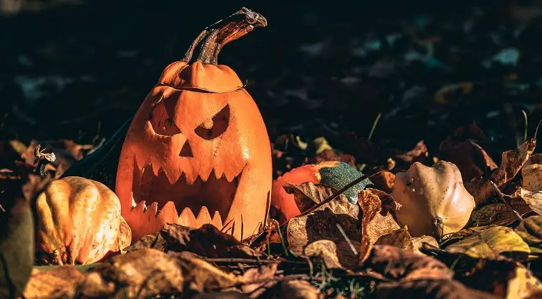 A pumpkin with a scary face carved into it sat amongst autumn leaves