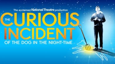 The Curious Incident with the Dog in the Night Garden words on a blue background with the main character Christopher next to it