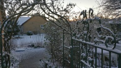 Snow-covered garden with a wrought iron gate and archway, leading to a brick path and a house in the background at sunset.