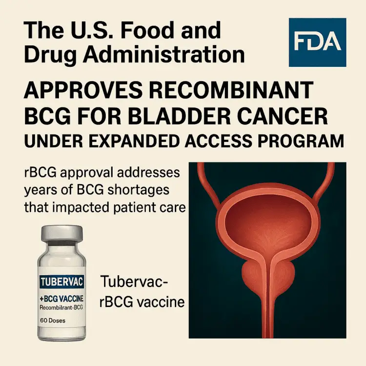 FDA graphic announcing approval of recombinant BCG (rBCG) for bladder cancer under the Expanded Access Program. Includes text, a vial labeled “TUBERVAG +BCG VACCINE,” and a medical illustration of a bladder. Visible Text in Image: The U.S. Food and Drug Administration APPROVES RECOMBINANT BCG FOR BLADDER CANCER UNDER EXPANDED ACCESS PROGRAM rBCG approval addresses years of BCG shortages that impacted patient care TUBERVAG +BCG VACCINE, Recombinant BCC, 60 Doses FDA logo in the top right