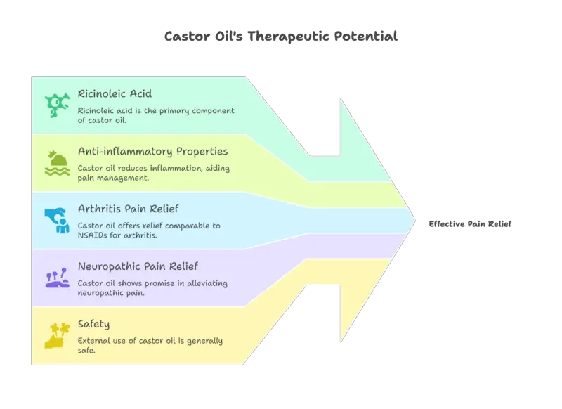 infographic: CASTOR OIL Ricinoleic acid (90% of oil) Anti-inflammatory properties Arthritis pain: Equal to NSAIDs Neuropathic pain: Positive case studies Safety: External use preferred