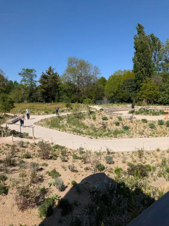 Wide, pale path curves through low planting with minimal contrast, making route edges harder to distinguish