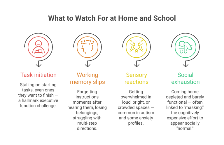 Infographic titled "What to Watch For at Home and School" showing four signs that may indicate neurodivergence: task initiation difficulties, working memory slips, sensory reactions and social exhaustion.